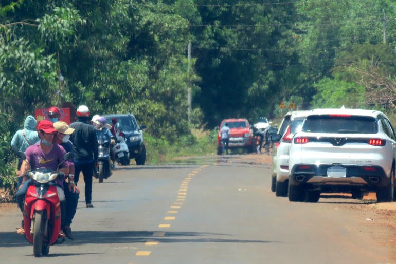 Ô tô nườm nượp đổ về