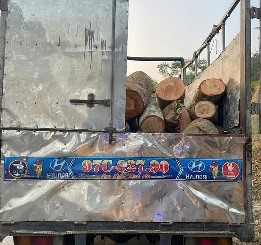 Số gỗ thu giữ được trên xe ô tô.