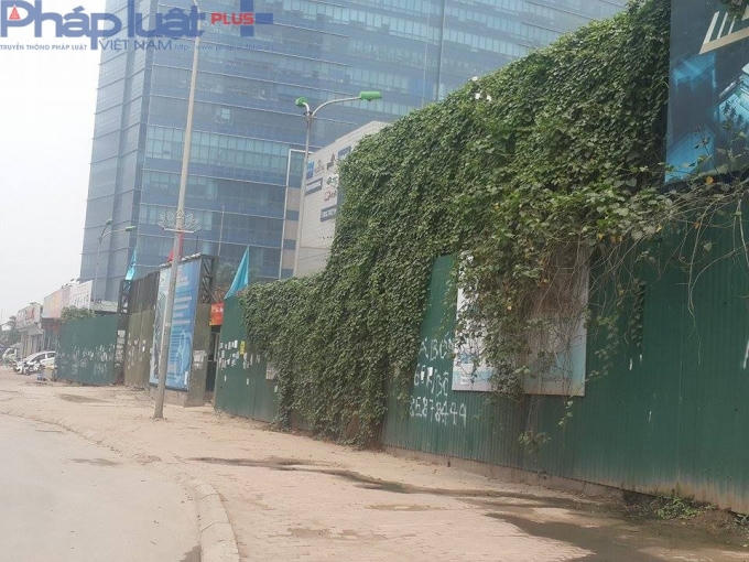 Cỏ dại leo kín những tấm tôn quây quanh dự án.