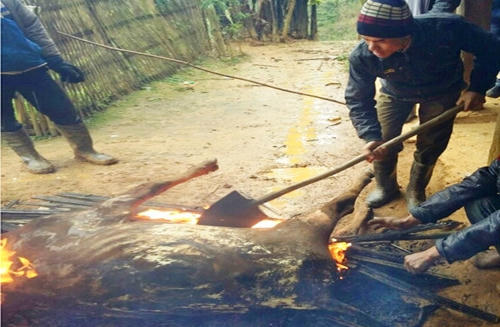 Người dân đang làm thịt những con trâu, bò bị chết, những mong vớt vát lại chút tiền.