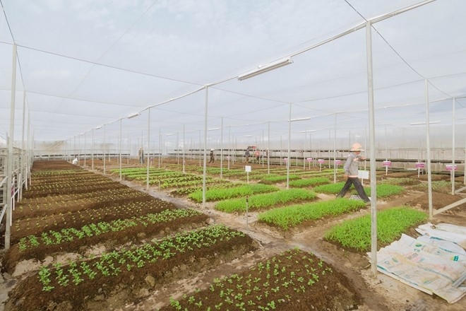 Địa điểm tham quan thú vị cuối tuần cho các gia đình.