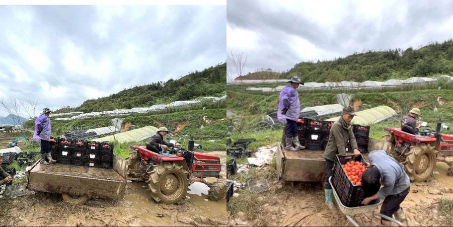 z4696586758789_4943be11b34886f25136fcf06c9fc1e6