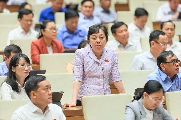 Đại biểu Phạm Khánh Phong Lan (đoàn TPHCM) phát biểu tại phiên thảo luậnẢnh: Như Ý