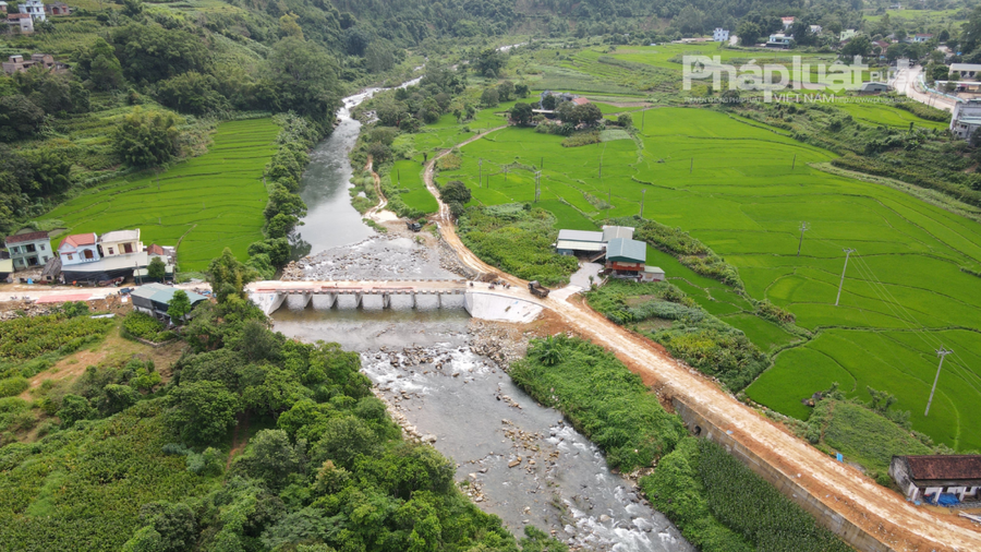 Đề nghị cho phép chuyển đổi đất trồng lúa sang làm trang trại. Ảnh Nhã Vân