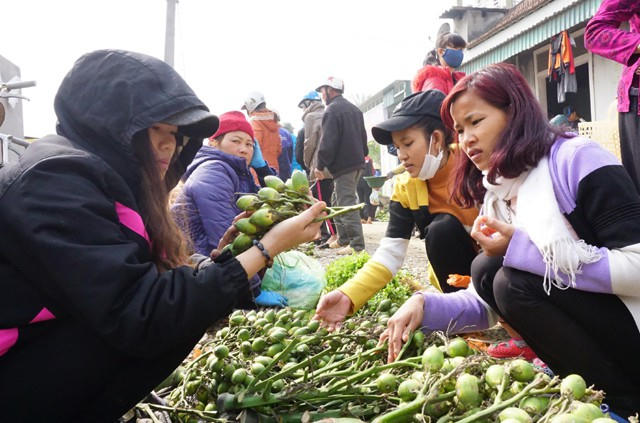 Trầu cau là món hàng không thể thiếu trong mỗi gia đình vùng nông thôn. Đĩa cau trầu vừa bày biện trên bàn thờ gia tiên, vừa là món quà mời khách đến chơi nhà ngày Tết