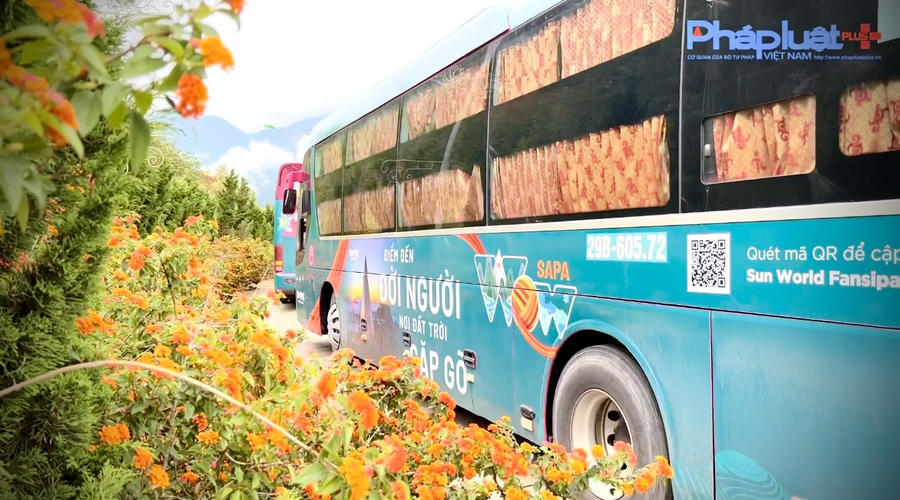 z4622469033876_d8a55332015e0a2690f85de9d28a3350