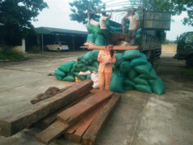 Gần 1,5m3 gỗ lậu nghi là Giáng hương đã bị bắt giữ