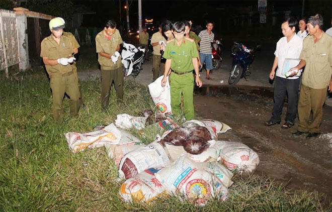 Khoảng 600kg huyết heo bỏ lại bên lề đường bị công an phát hiện. Ảnh: Công an Nhân dân