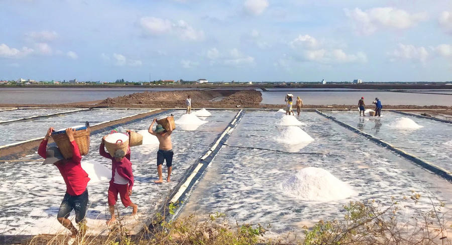 Sự kiện Festival nghề muối Việt Nam - Bạc Liêu năm 2025, là dịp để tôn vinh những giá trị truyền thống nghề muối Việt Nam nói chung, tỉnh Bạc Liêu nói riêng.
