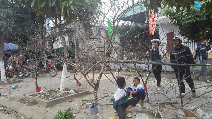 Cành đào được bày bán thành 1 dãy dài.
