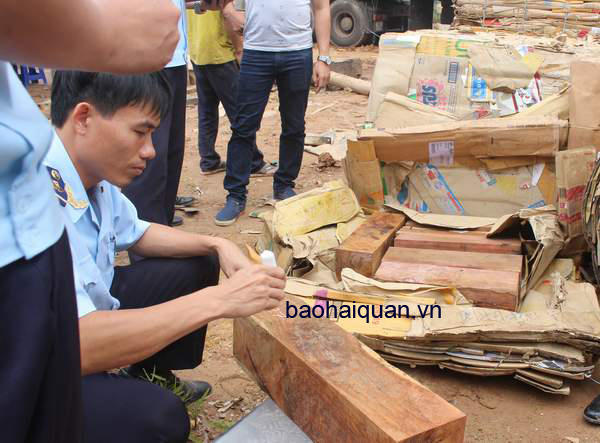 Kèm ảnh lực lượng Hải quan chủ trì phối hợp khám xét tại hiện trường xe gỗ lậu ngụy trang trong giấy phế liệu ngày.