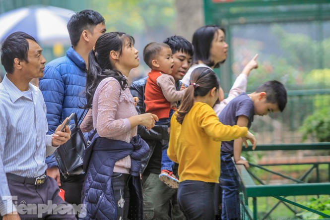 Các em nhỏ khá hào hứng với những con thú trong công viên Thủ Lệ.