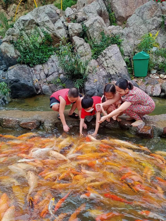 FB_IMG_1651707847961