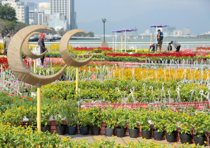 Đường hoa Đà Nẵng nằm ngay khu vực chân cầu Rồng.