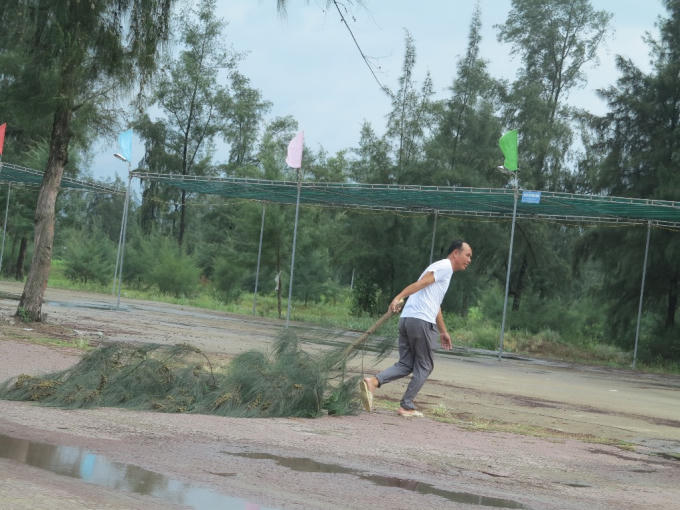 Cây có nguy cơ đổ, gãy bị chặt bỏ trước giờ bão đổ bộ.