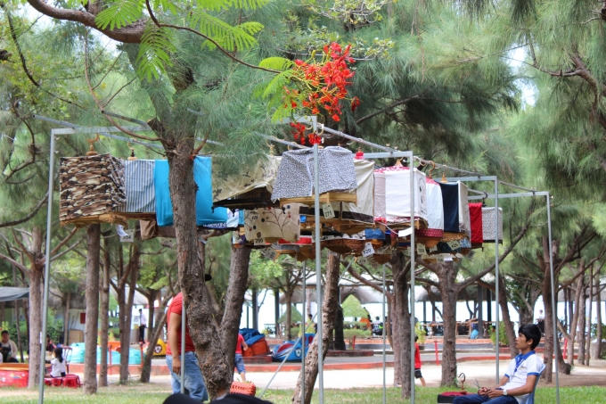 Các chú chim đua tài yếu, bị loại