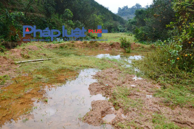 Ruộng của gia đình anh Lợi đã bị đất đá vùi, lấp. (Ảnh: Phàn Giào Họ)