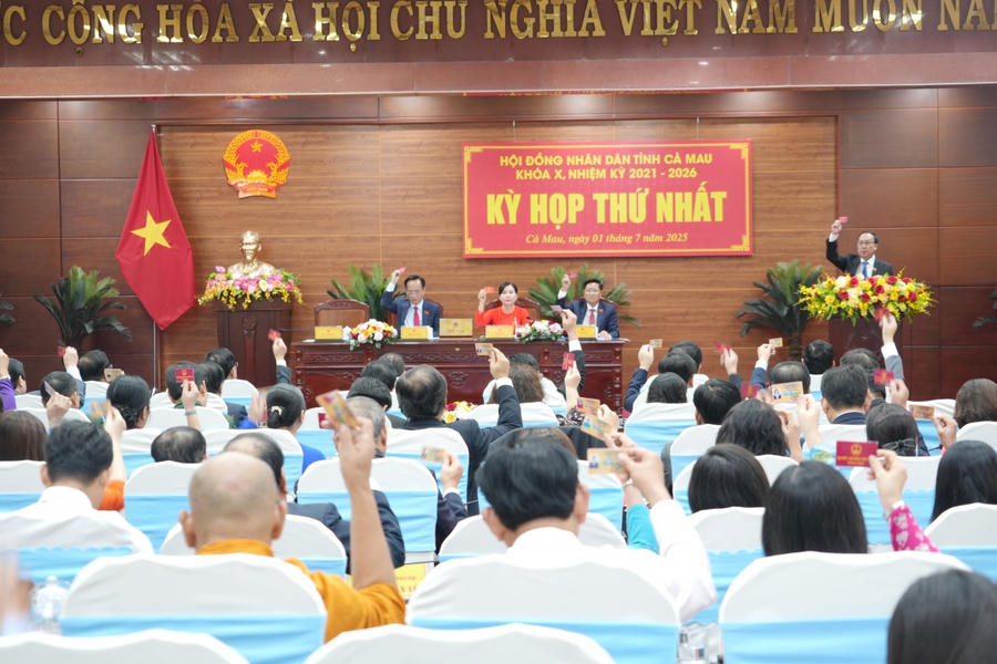 Các đại biểu HĐND tỉnh biểu quyết thông qua các Nghị quyết.