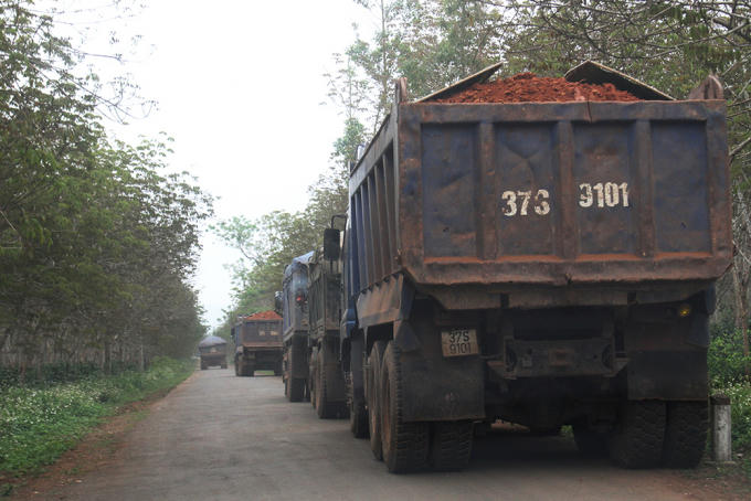Hàng loạt xe tải “núp” trong đường làng chờ cơ hội để đưa đất đến dự án.