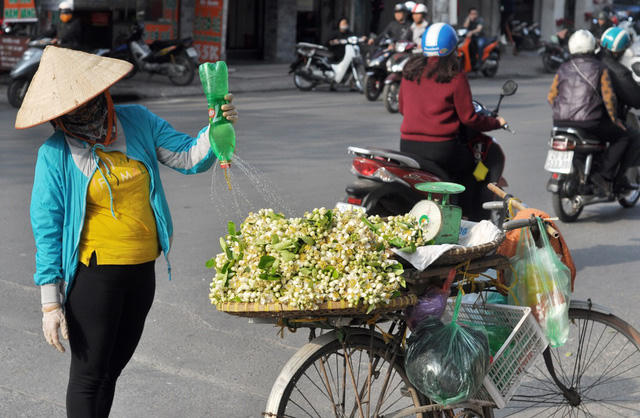Hoa bưởi bán trên phố chủ yếu được các lái buôn nhập từ Hòa Bình, Hưng Yên… Các hàng rong bán loại hoa này thường thấy ở Giảng Võ, Xã Đàn, Nghĩa Tân… Để lựa được những cánh hoa đẹp nhất, người bán phải thức dậy từ sáng sớm, khi những giọt sương vẫn còn đọng trên cànha, sau đó bó hoa lại thành từng chùm mang di bán.
