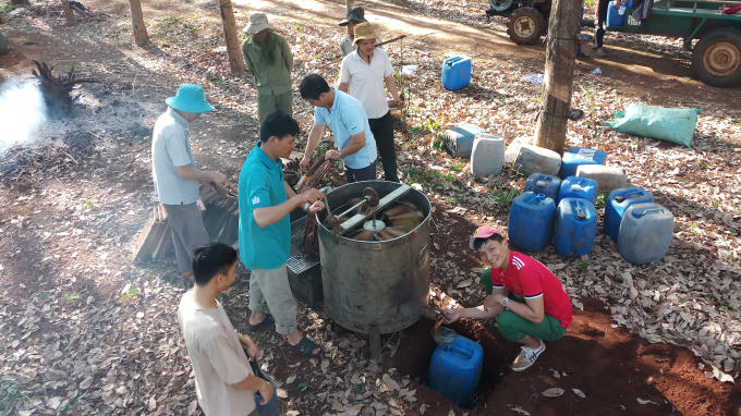 Một trại ong đặt dưới vườn cao su tại xã Cư M' gar, huyện Cư M’gar, tỉnh Đăk Lăk