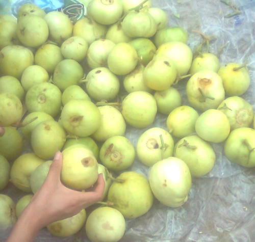 Dưa l&ecirc; l&agrave; loại quả dễ bị sử dụng thuốc bảo vệ thực vật nhiều nhất.