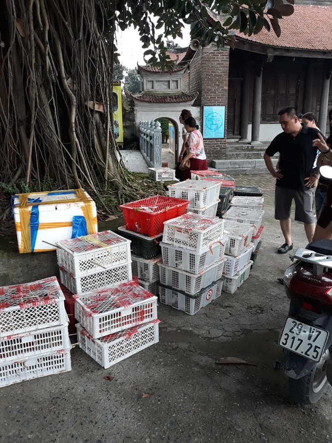 Góc khuất phóng sinh thời 'cô vi' - ảnh 4