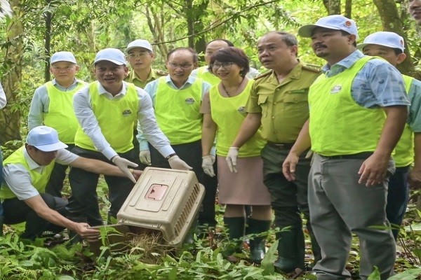 Các đại biểu tham gia hoạt động thả động vật về tự nhiên tại Vườn Quốc gia Cúc Phương.