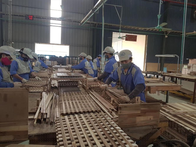 Xuất khẩu nông, lâm, thủy sản hướng tới 41 tỷ USD: Trông vào đâu? - ảnh 1