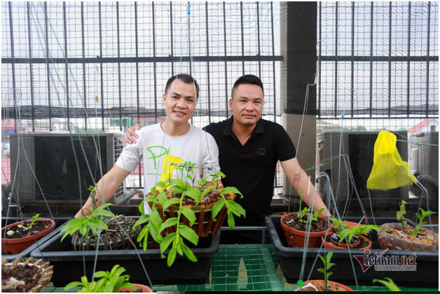 Anh em nhà Phạm Nhật Hùng - Hoan Boom rủ nhau chơi lan do thất nghiệp vì dịch Covid-19