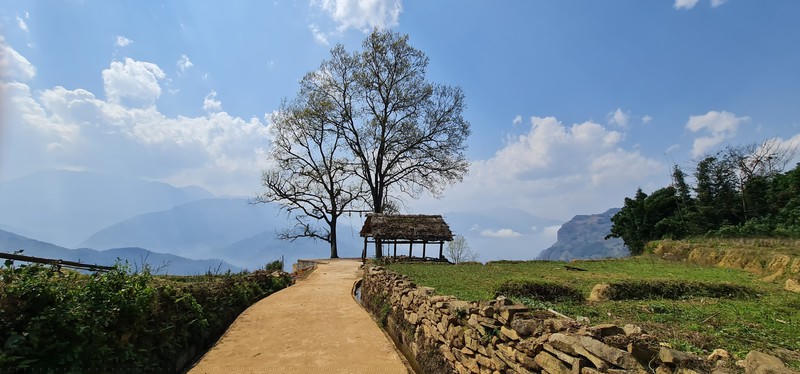 Cây hoàng hôn ở thôn Choản Thèn (Y Tý).