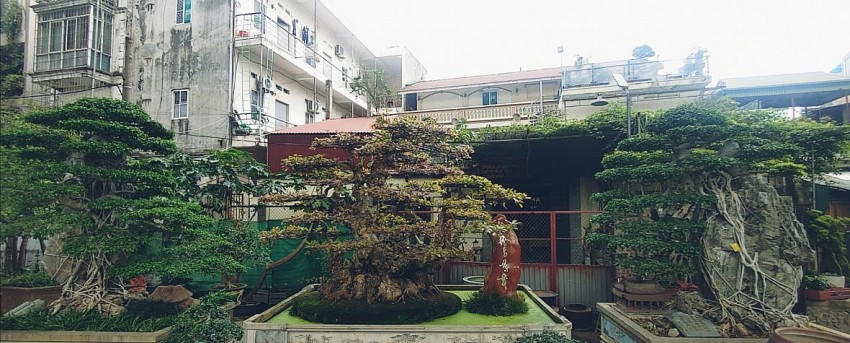 “Thiên ý song sơn tọa, phụng nhi môn hỉ khách” - Bộ ba cây toàn vẹn và sâu sắc về giá trị về nghệ thuật