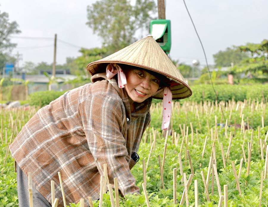 Bà Nga chăm chút từng cây hoa cho vụ Tết