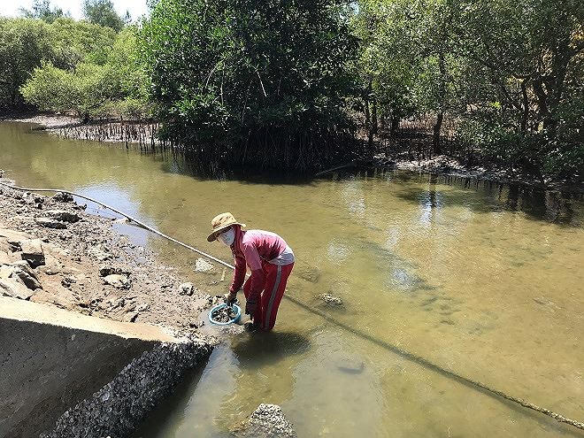 Phụ nữ ở x&atilde; đảo b&aacute;m s&ocirc;ng Trường Giang lượm ốc mưu sinh.