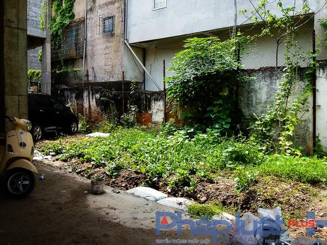 Khoảng đất dự án được sử dụng để trồng rau.