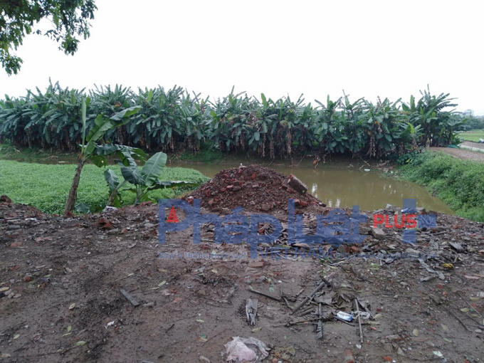 Thậm chí còn được đổ thêm như thế này...