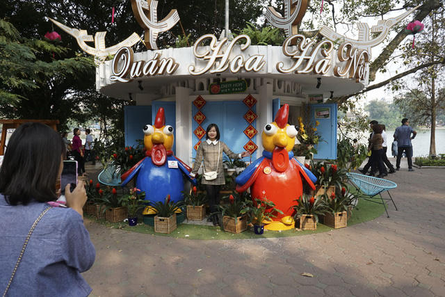 Người dân chụp ảnh lưu niệm bên các chú gà có nhiều ở khu v hồ Gươm.