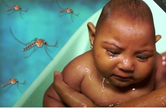 Hiện virus Zika tấn công nhiều nước trên thế giới. Ảnh minh họa