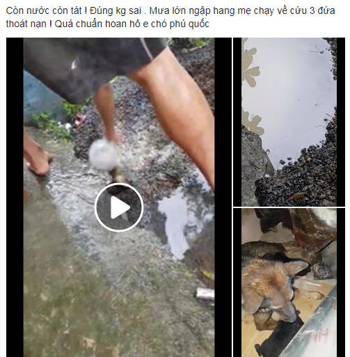Hình ảnh bài đăng trên trang facebook Loi Le.