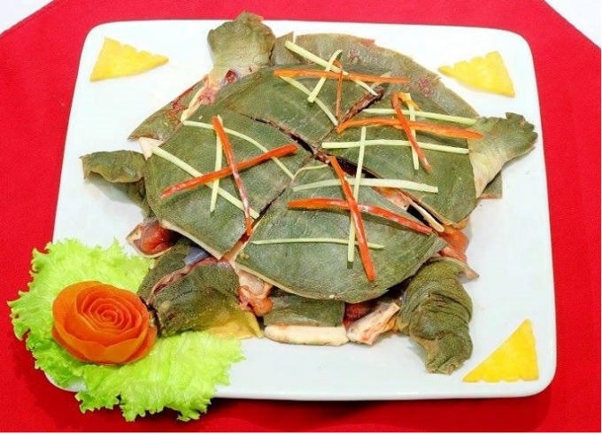 Ba ba "vị thuốc quý" ít ai ngờ tới.