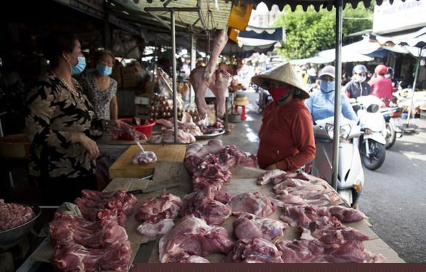 Giá lợn hơi giữ ổn định, giao dịch dưới ngưỡng 80.000 đồng/kg ở nhiều nơi. (Ảnh: TTXVN)