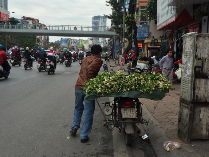 Hoa bưởi có giá bán dao động từ 250 - 300 nghìn đồng/kg,