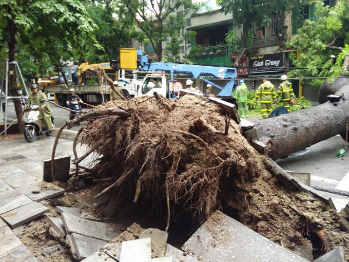 69349979_1301345916696077_7917097440749027328_n