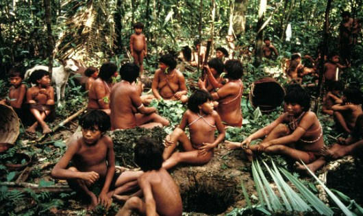 Bộ lạc hoang dã Yanomami.