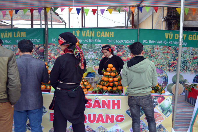Có 24 gian hàng trưng bày Cam sành của địa phương.