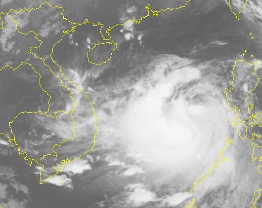 Cơn bão số 10 là cơn bão mạnh.