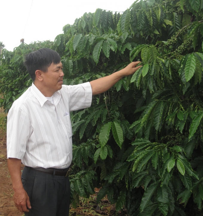 HTX cà phê của CCB Tạ Ngọc Quang