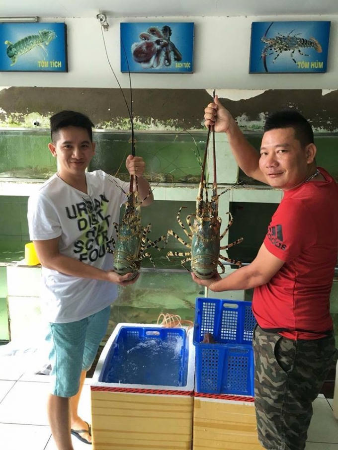 Nồi lẩu có tổng cộng hai con tôm hùm 7kg