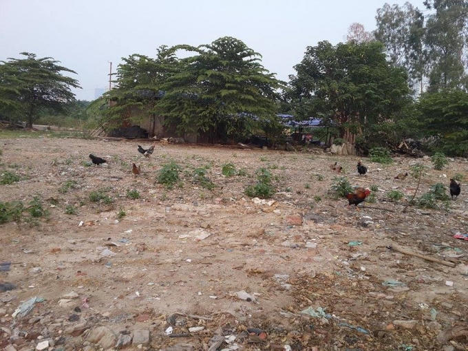 Các hộ dân vẫn sinh sống, thậm chí là nuôi gia cầm trong khu dự án.