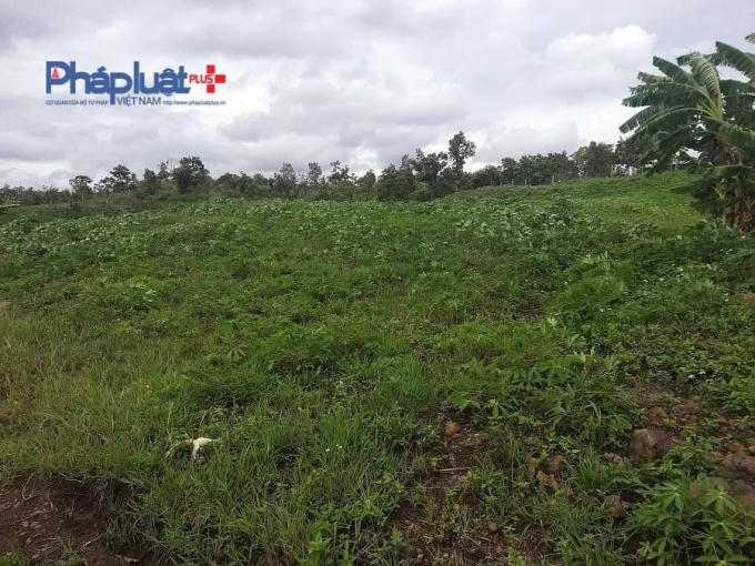 received_187293066694335